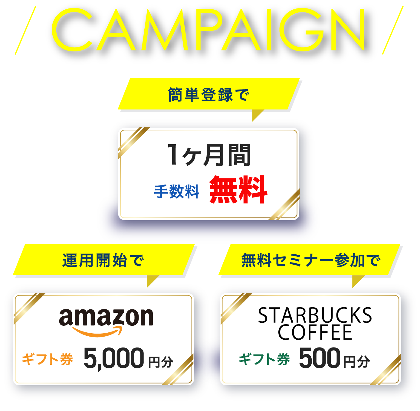 CAMPAIGN
